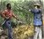 1831_nat_turner_revolt a_tiny